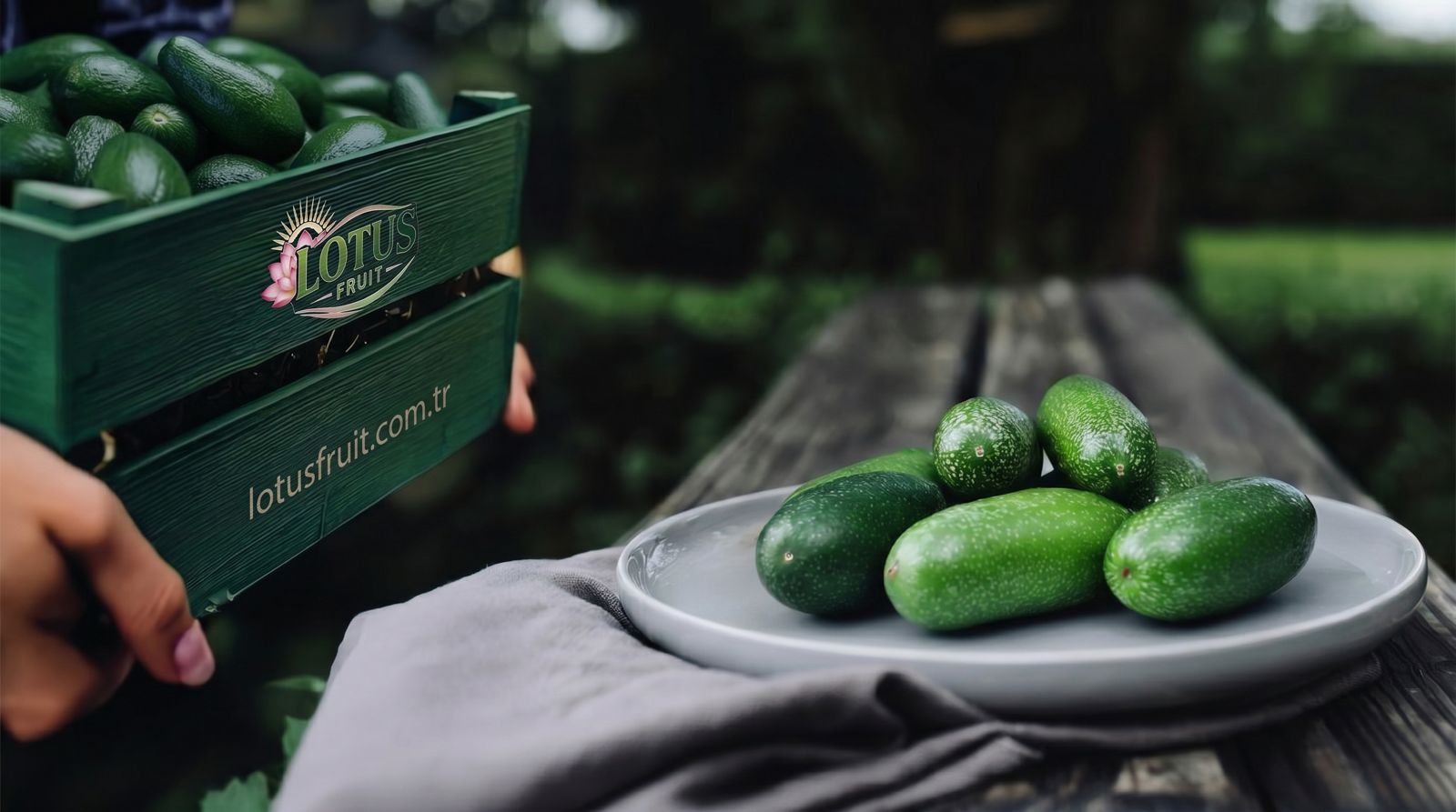 Avacado